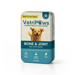 Bone & Joint