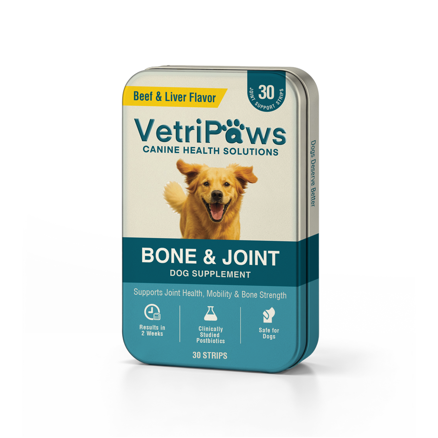 Bone & Joint