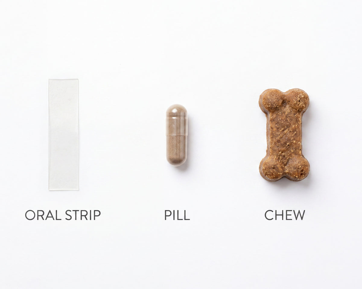 VetriPaws product