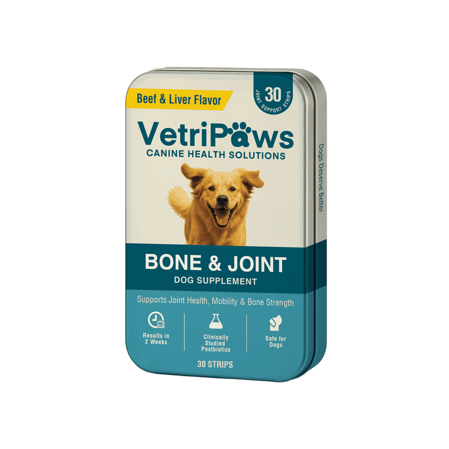 Bone & Joint