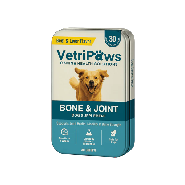 Bone & Joint