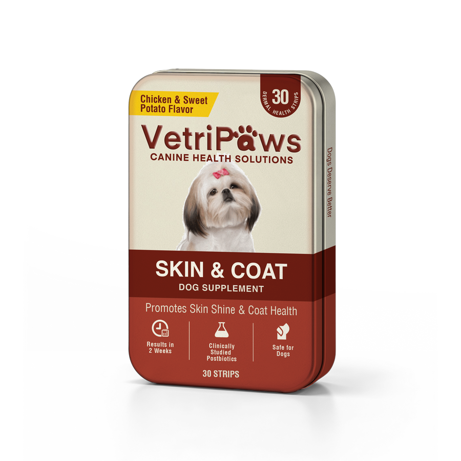 Skin & Coat
