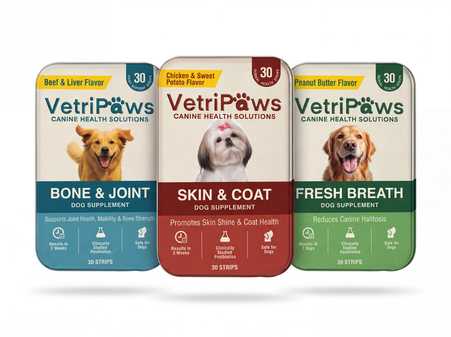 Complete Bundle