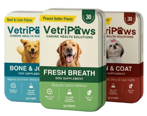 Complete Bundle