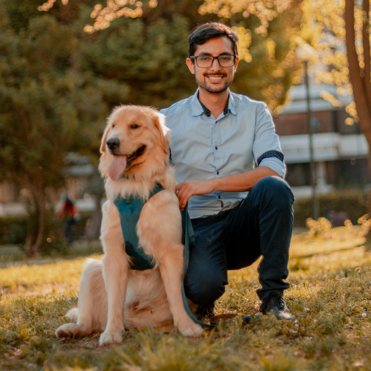Happy VetriPaws community dog