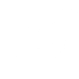 Made for Daily Wellness